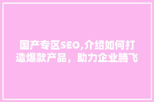 国产专区SEO,介绍如何打造爆款产品，助力企业腾飞