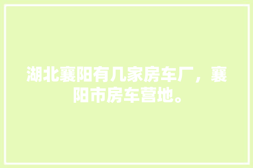 7天快速打造SEO,让你的网站在搜索引擎中脱颖而出
