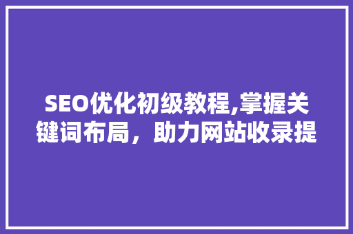 SEO优化初级教程,掌握关键词布局，助力网站收录提升