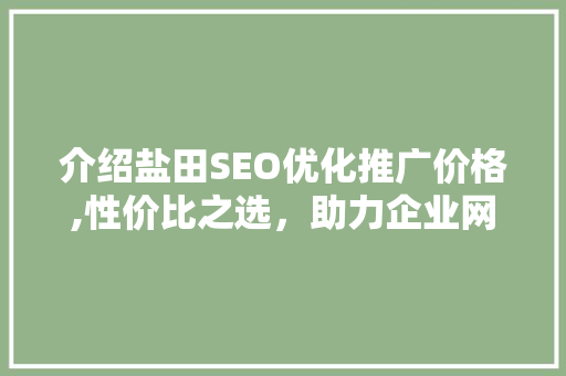 介绍盐田SEO优化推广价格,性价比之选，助力企业网络营销腾飞