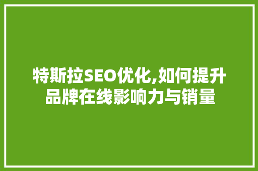 特斯拉SEO优化,如何提升品牌在线影响力与销量