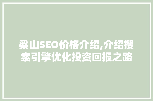 梁山SEO价格介绍,介绍搜索引擎优化投资回报之路