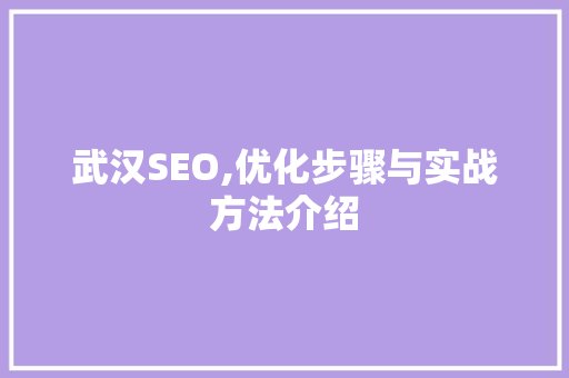 武汉SEO,优化步骤与实战方法介绍