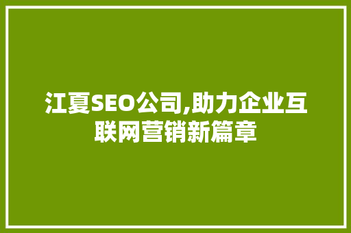 江夏SEO公司,助力企业互联网营销新篇章