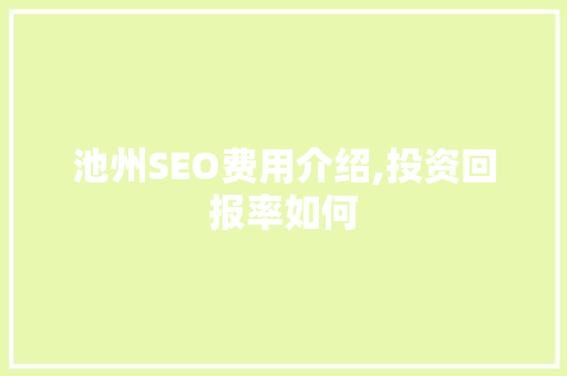 池州SEO费用介绍,投资回报率如何