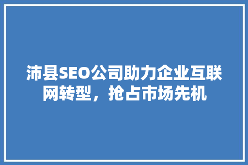 沛县SEO公司助力企业互联网转型，抢占市场先机