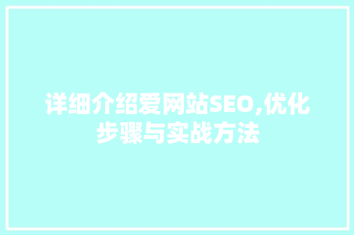 详细介绍爱网站SEO,优化步骤与实战方法