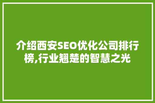 介绍西安SEO优化公司排行榜,行业翘楚的智慧之光