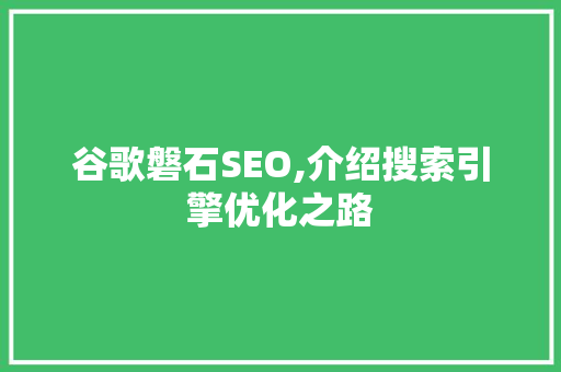 谷歌磐石SEO,介绍搜索引擎优化之路  第1张