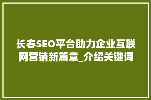长春SEO平台助力企业互联网营销新篇章_介绍关键词布局之路