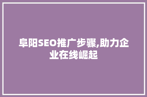 阜阳SEO推广步骤,助力企业在线崛起