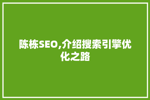 陈栋SEO,介绍搜索引擎优化之路