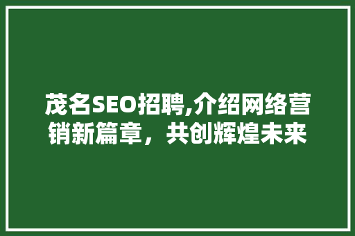 茂名SEO招聘,介绍网络营销新篇章，共创辉煌未来