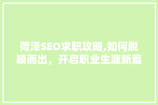 菏泽SEO求职攻略,如何脱颖而出，开启职业生涯新篇章