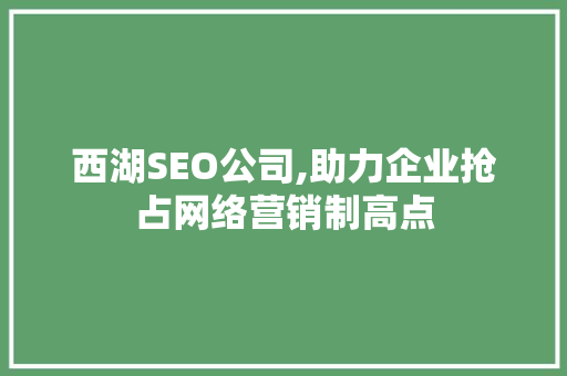 西湖SEO公司,助力企业抢占网络营销制高点