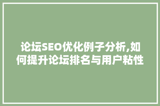 论坛SEO优化例子分析,如何提升论坛排名与用户粘性