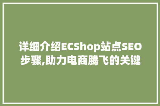 详细介绍ECShop站点SEO步骤,助力电商腾飞的关键之路