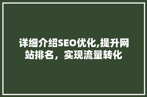 详细介绍SEO优化,提升网站排名，实现流量转化