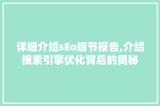 详细介绍sEo细节报告,介绍搜索引擎优化背后的奥秘