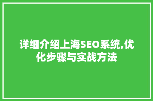 详细介绍上海SEO系统,优化步骤与实战方法