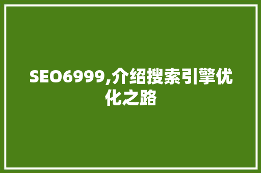 SEO6999,介绍搜索引擎优化之路  第1张