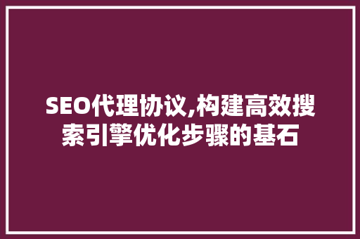 SEO代理协议,构建高效搜索引擎优化步骤的基石