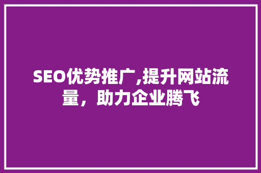 SEO优势推广,提升网站流量，助力企业腾飞