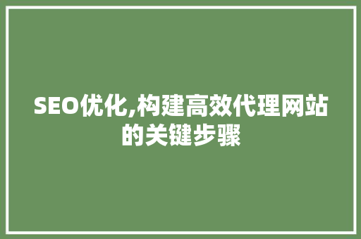 SEO优化,构建高效代理网站的关键步骤
