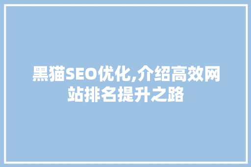 黑猫SEO优化,介绍高效网站排名提升之路