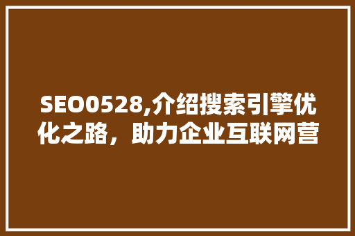 SEO0528,介绍搜索引擎优化之路，助力企业互联网营销