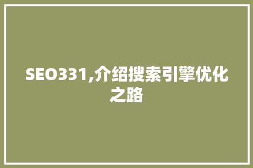 SEO331,介绍搜索引擎优化之路