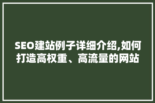 SEO建站例子详细介绍,如何打造高权重、高流量的网站