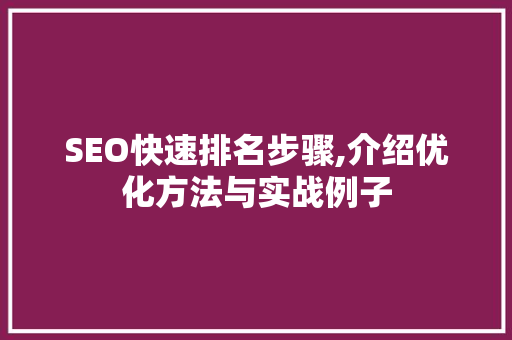 SEO快速排名步骤,介绍优化方法与实战例子