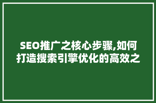 SEO推广之核心步骤,如何打造搜索引擎优化的高效之路