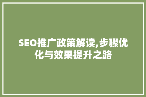 SEO推广政策解读,步骤优化与效果提升之路