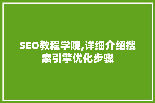SEO教程学院,详细介绍搜索引擎优化步骤