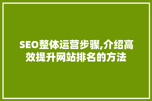 SEO整体运营步骤,介绍高效提升网站排名的方法