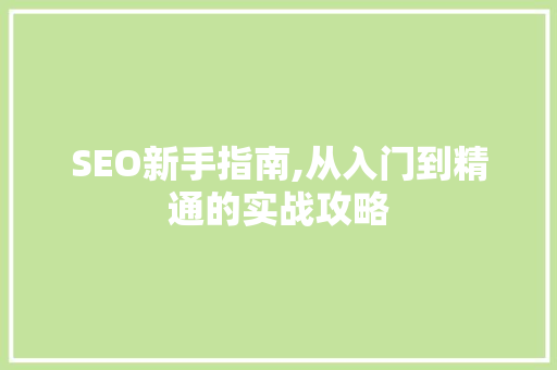 SEO新手指南,从入门到精通的实战攻略