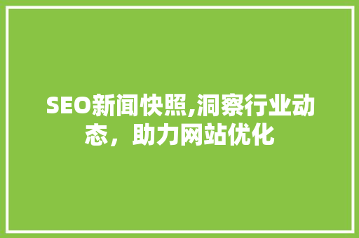 SEO新闻快照,洞察行业动态，助力网站优化  第1张