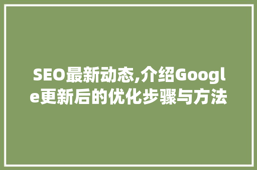 SEO最新动态,介绍Google更新后的优化步骤与方法