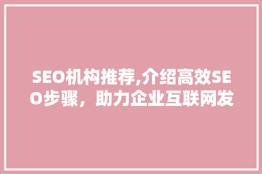 SEO机构推荐,介绍高效SEO步骤，助力企业互联网发展