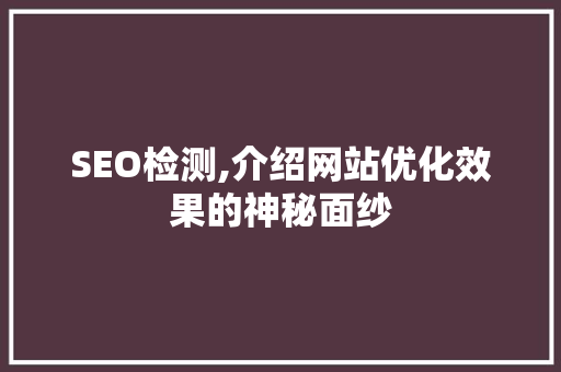 SEO检测,介绍网站优化效果的神秘面纱