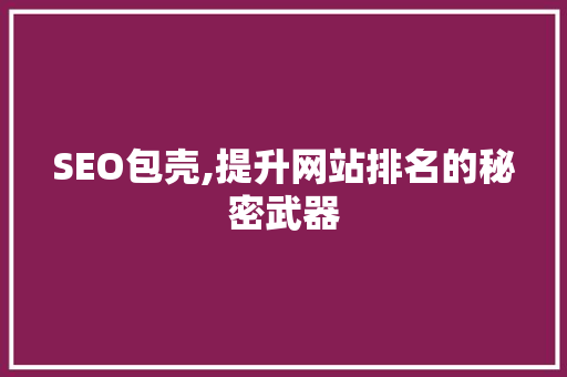 SEO包壳,提升网站排名的秘密武器