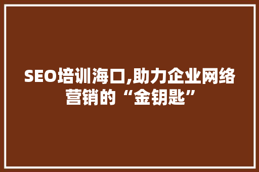 SEO培训海口,助力企业网络营销的“金钥匙”