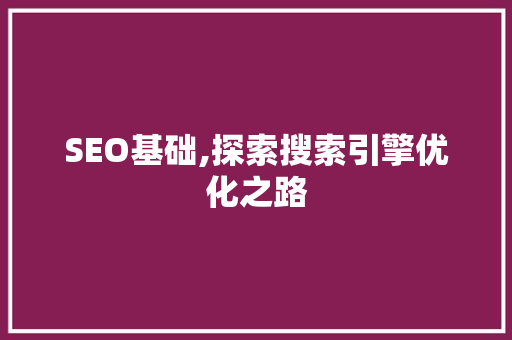 SEO基础,探索搜索引擎优化之路