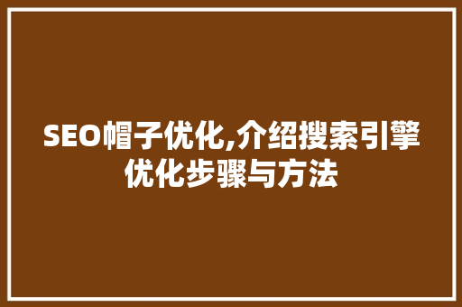 SEO帽子优化,介绍搜索引擎优化步骤与方法