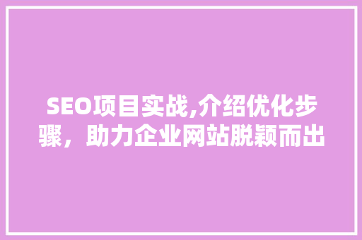 SEO项目实战,介绍优化步骤，助力企业网站脱颖而出