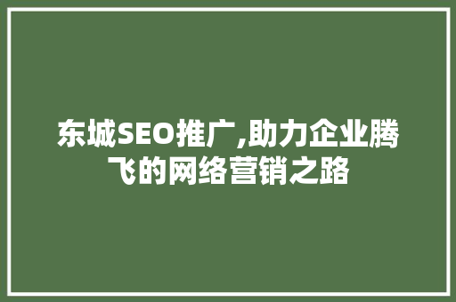 东城SEO推广,助力企业腾飞的网络营销之路