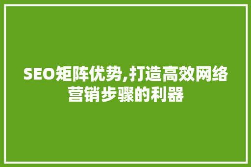 SEO矩阵优势,打造高效网络营销步骤的利器