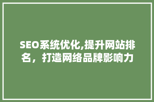 SEO系统优化,提升网站排名，打造网络品牌影响力
